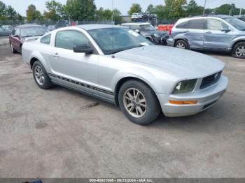  Salvage Ford Mustang