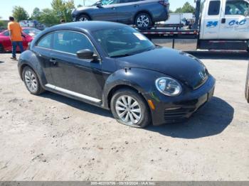  Salvage Volkswagen Beetle