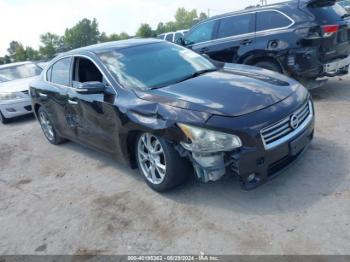  Salvage Nissan Maxima