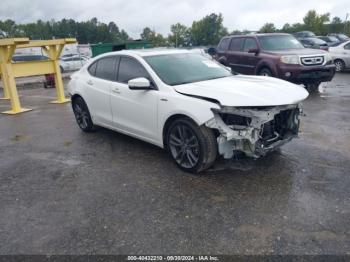  Salvage Acura TLX