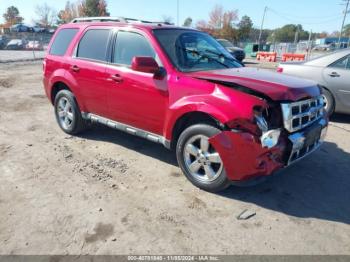  Salvage Ford Escape