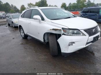  Salvage Lexus RX