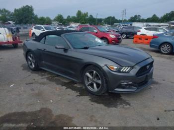  Salvage Ford Mustang