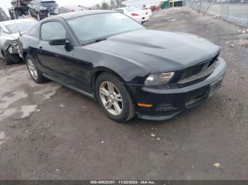  Salvage Ford Mustang