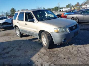  Salvage Ford Escape