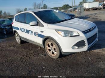  Salvage Ford Escape