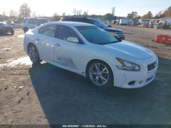  Salvage Nissan Maxima