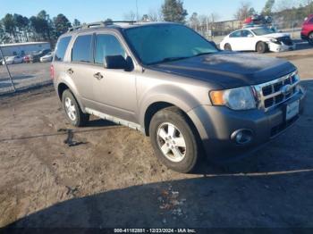  Salvage Ford Escape