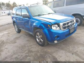  Salvage Ford Escape