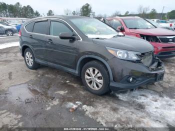  Salvage Honda CR-V