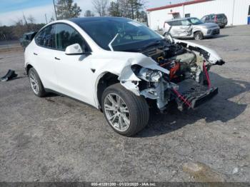  Salvage Tesla Model Y