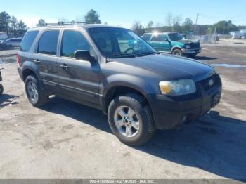  Salvage Ford Escape