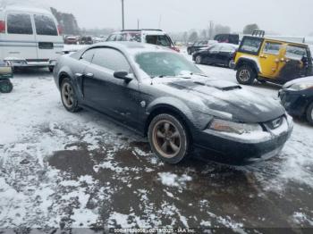  Salvage Ford Mustang