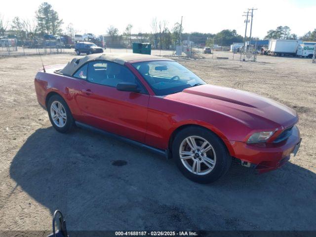  Salvage Ford Mustang