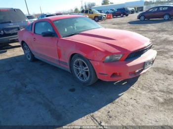  Salvage Ford Mustang