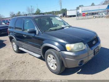  Salvage Ford Escape