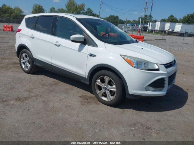  Salvage Ford Escape