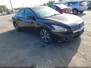  Salvage Nissan Maxima