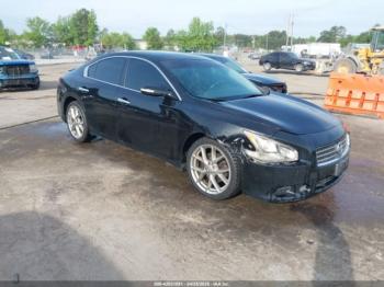 Salvage Nissan Maxima
