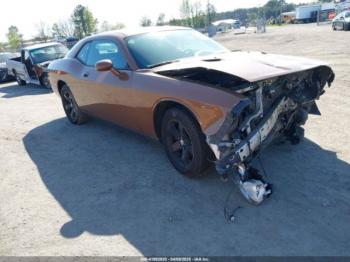  Salvage Dodge Challenger