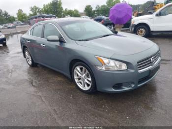  Salvage Nissan Maxima