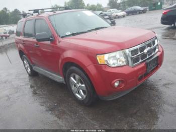  Salvage Ford Escape