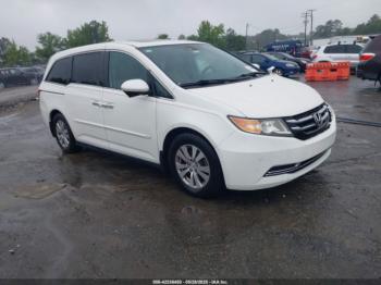  Salvage Honda Odyssey