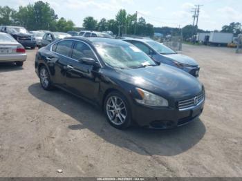  Salvage Nissan Maxima