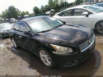  Salvage Nissan Maxima