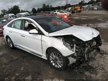  Salvage Hyundai SONATA