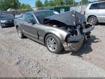  Salvage Ford Mustang