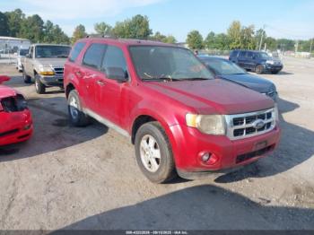  Salvage Ford Escape