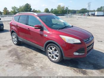  Salvage Ford Escape