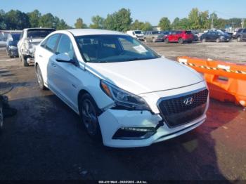  Salvage Hyundai SONATA
