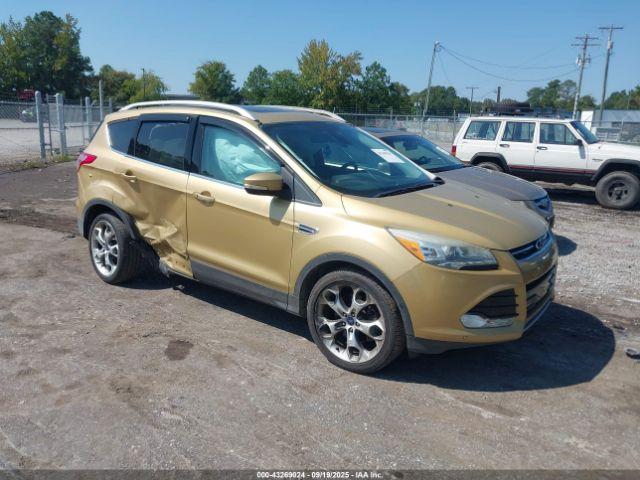  Salvage Ford Escape