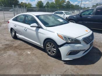  Salvage Hyundai SONATA