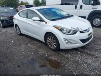  Salvage Hyundai ELANTRA