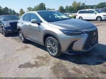  Salvage Lexus NX
