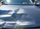 Volkswagen Tiguan 2.0t Se Image 7