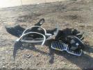 BMW X Series Xdrive30i Image 4