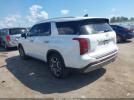 Hyundai PALISADE Limited Image 4