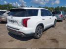 Hyundai PALISADE Limited Image 12