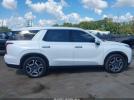 Hyundai PALISADE Limited Image 15