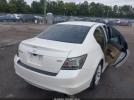 Honda Accord 3.5 Ex-l Image 8