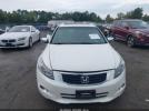 Honda Accord 3.5 Ex-l Image 11