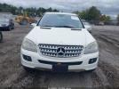 Mercedes-Benz M-Class 4matic Image 2