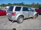 Ford Escape Xlt Image 3