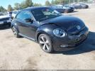 Volkswagen Beetle 2.0t Turbo Image 1