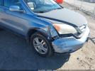 Honda CR-V Ex-l Image 13