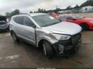 Hyundai SANTA FE 2.4l Image 1